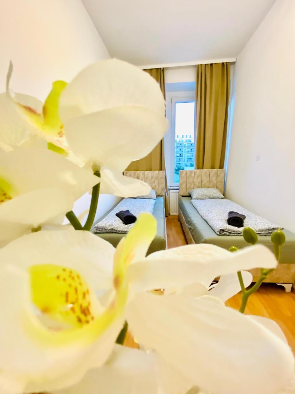 Bright 5Br Shared Apartment W Great Transport Link Wiedeń Zewnętrze zdjęcie